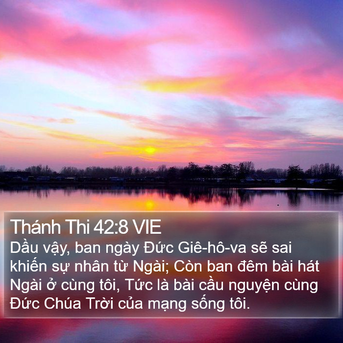 Thánh Thi 42:8 VIE Bible Study