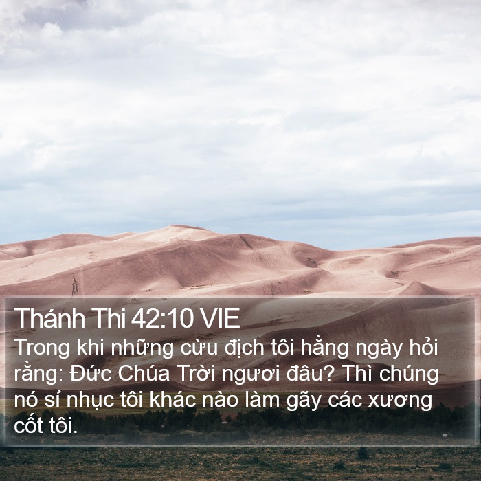 Thánh Thi 42:10 VIE Bible Study