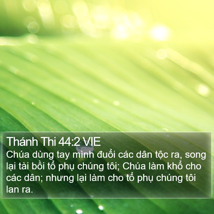 Thánh Thi 44:2 VIE Bible Study