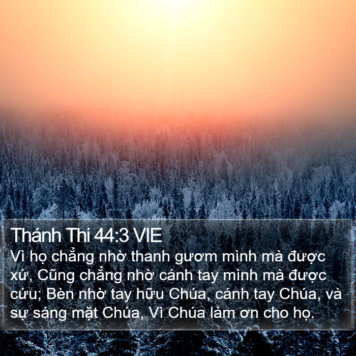 Thánh Thi 44:3 VIE Bible Study