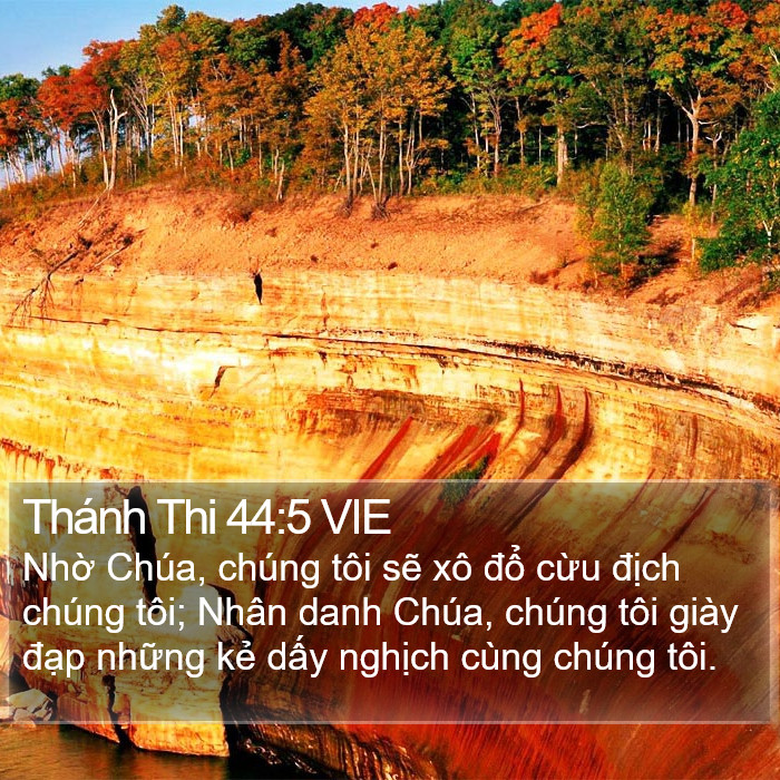 Thánh Thi 44:5 VIE Bible Study