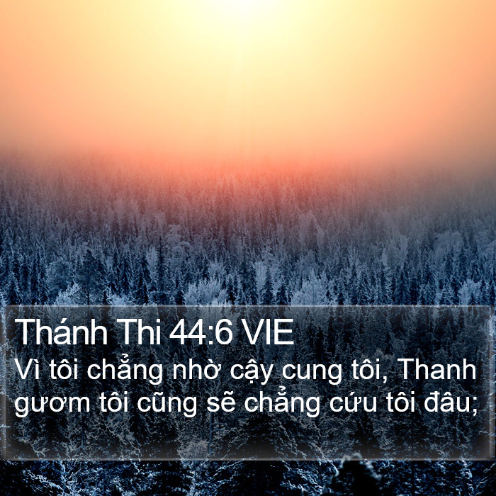 Thánh Thi 44:6 VIE Bible Study