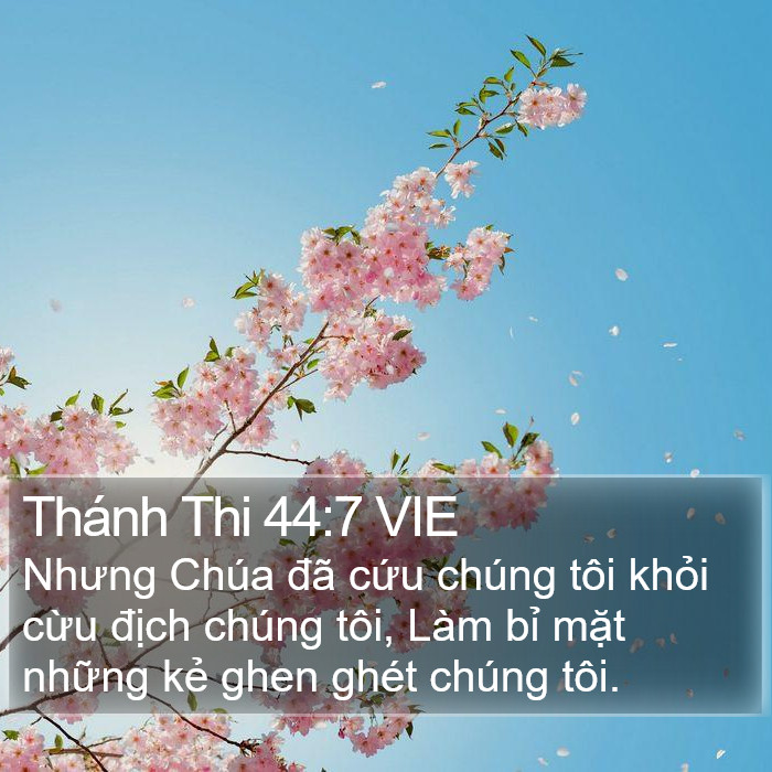 Thánh Thi 44:7 VIE Bible Study