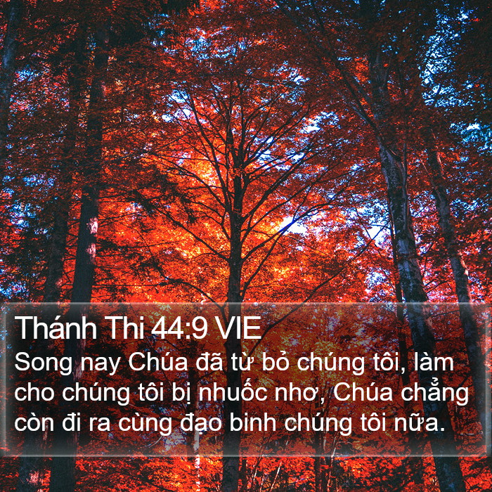 Thánh Thi 44:9 VIE Bible Study