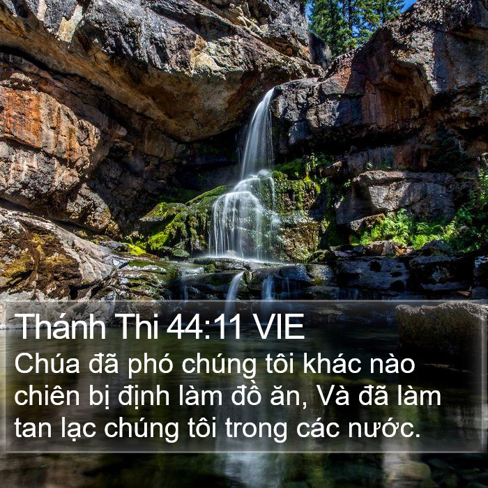 Thánh Thi 44:11 VIE Bible Study