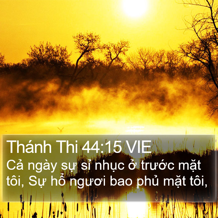 Thánh Thi 44:15 VIE Bible Study