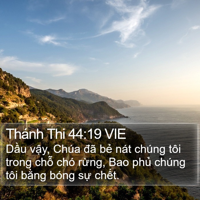 Thánh Thi 44:19 VIE Bible Study