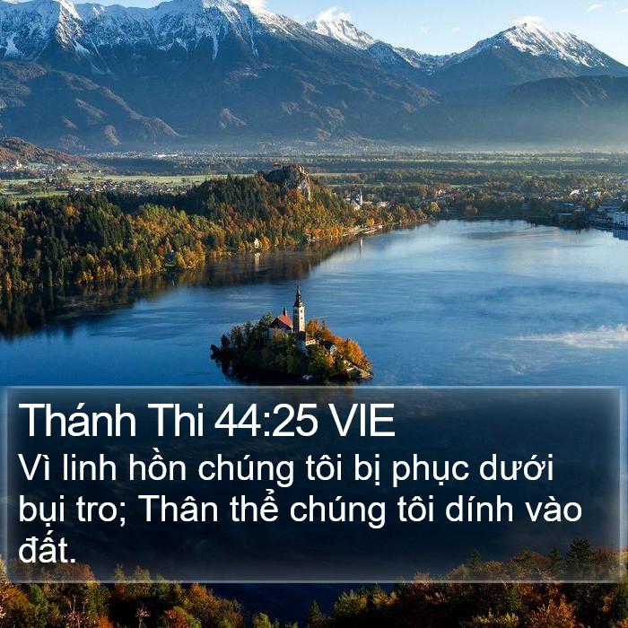 Thánh Thi 44:25 VIE Bible Study