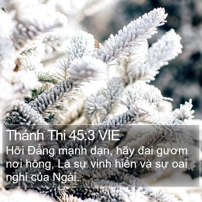 Thánh Thi 45:3 VIE Bible Study