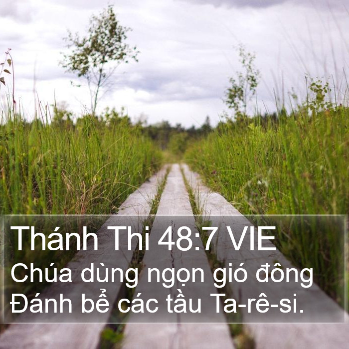 Thánh Thi 48:7 VIE Bible Study