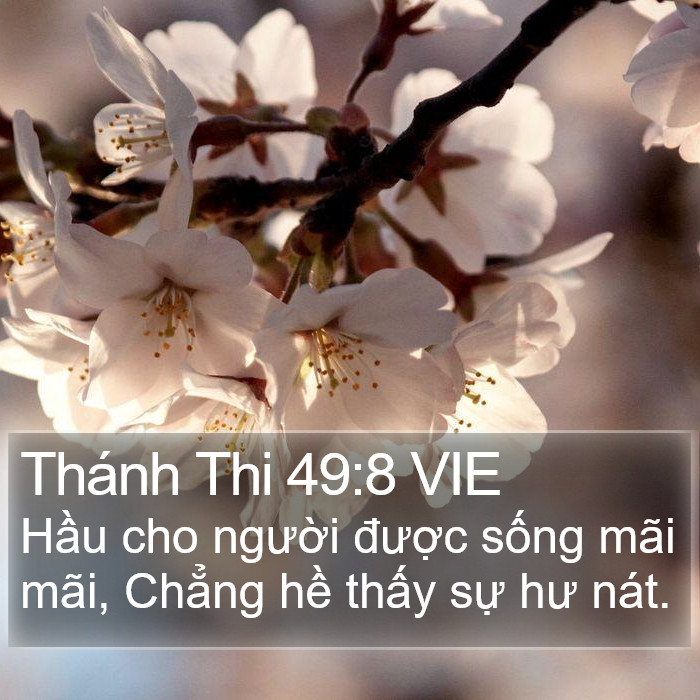 Thánh Thi 49:8 VIE Bible Study