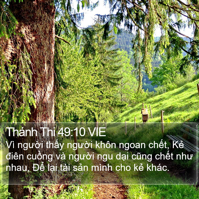 Thánh Thi 49:10 VIE Bible Study