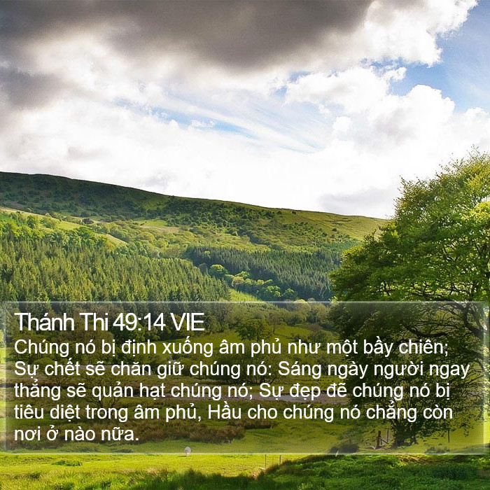 Thánh Thi 49:14 VIE Bible Study