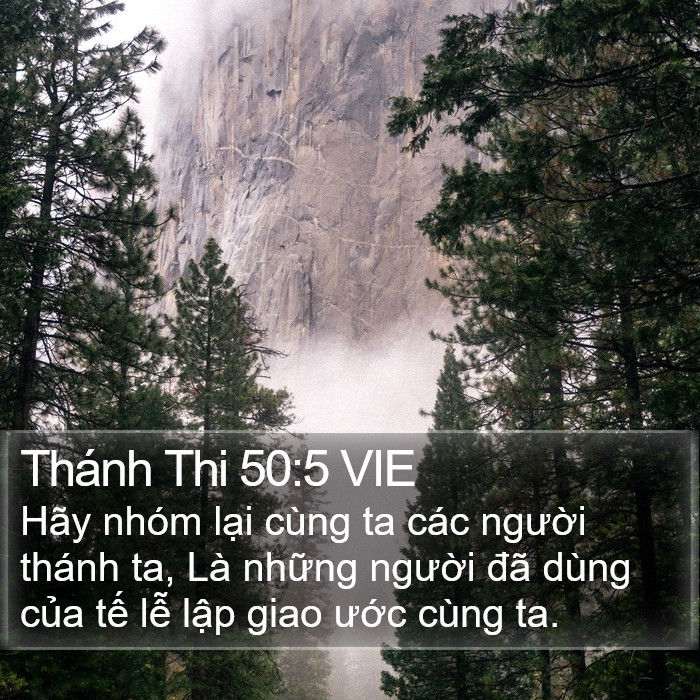 Thánh Thi 50:5 VIE Bible Study