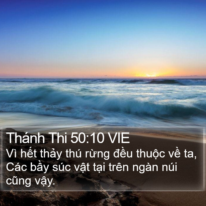 Thánh Thi 50:10 VIE Bible Study