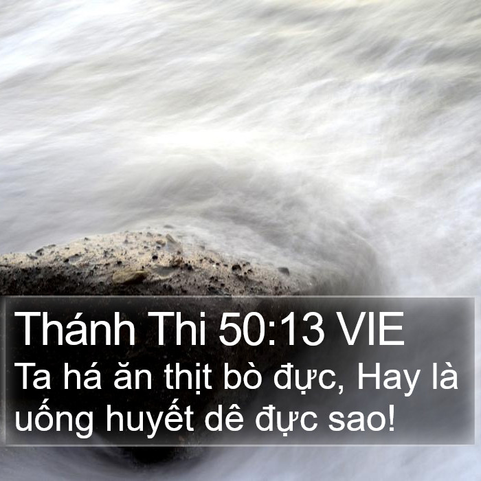 Thánh Thi 50:13 VIE Bible Study