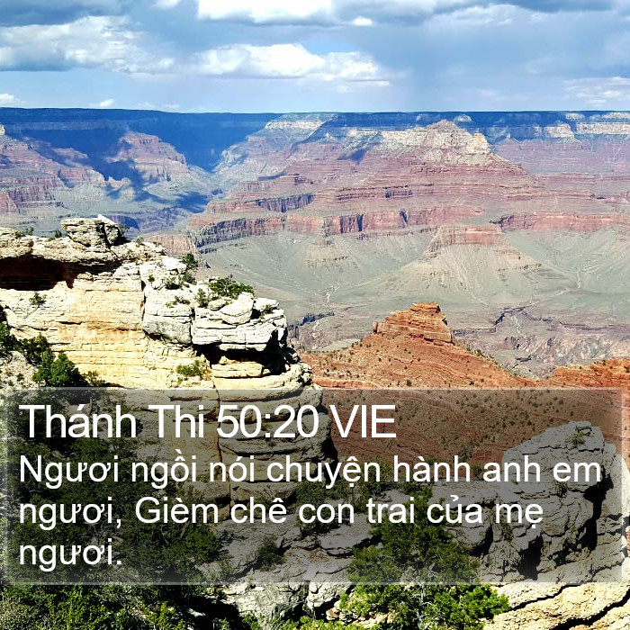 Thánh Thi 50:20 VIE Bible Study