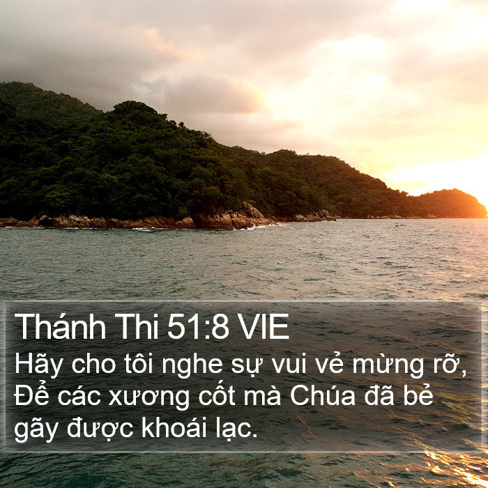 Thánh Thi 51:8 VIE Bible Study