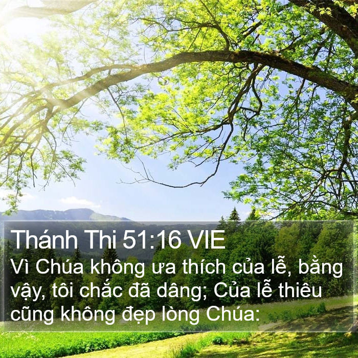 Thánh Thi 51:16 VIE Bible Study