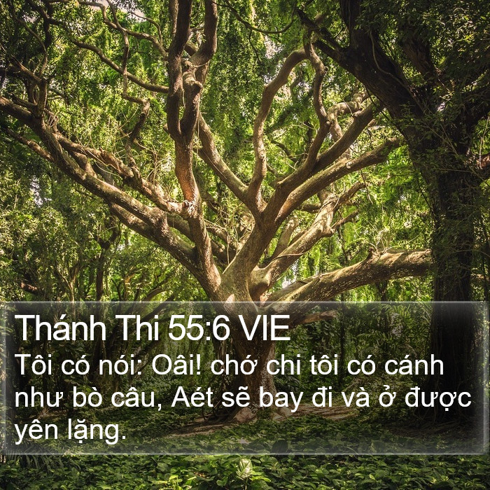 Thánh Thi 55:6 VIE Bible Study