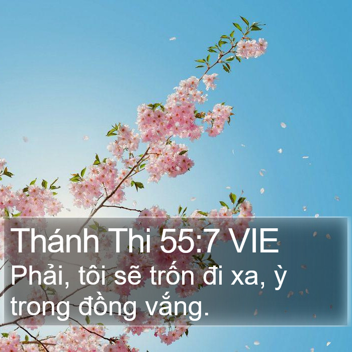 Thánh Thi 55:7 VIE Bible Study