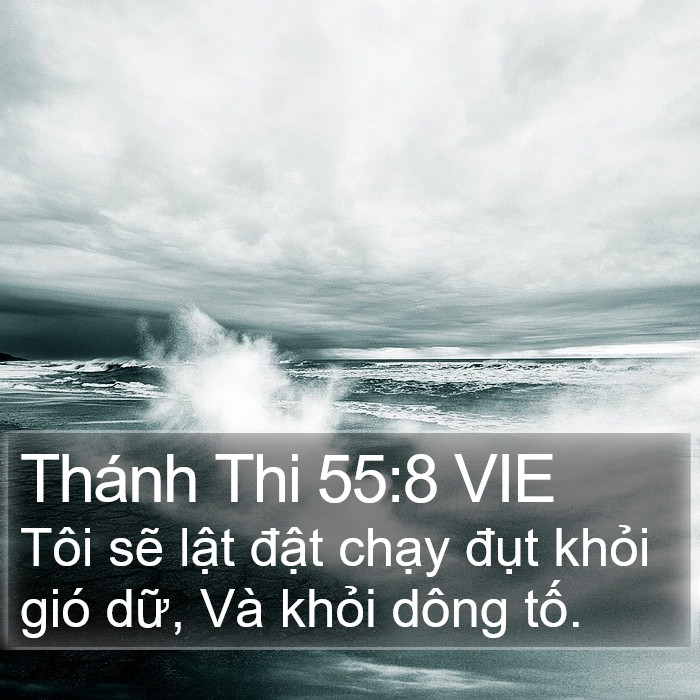 Thánh Thi 55:8 VIE Bible Study