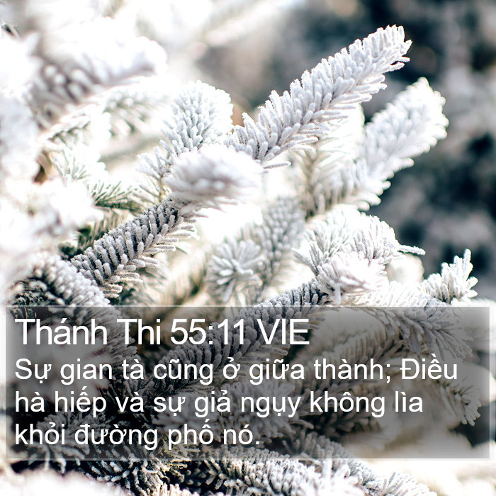 Thánh Thi 55:11 VIE Bible Study