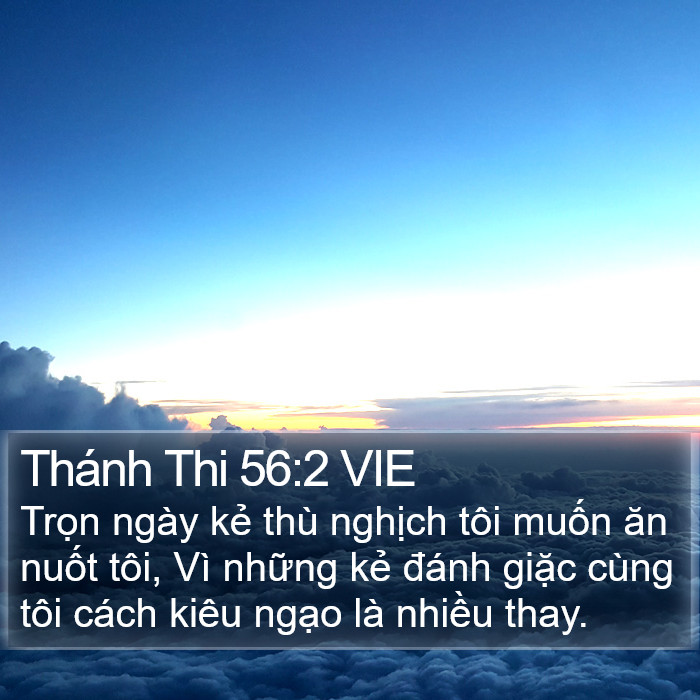 Thánh Thi 56:2 VIE Bible Study