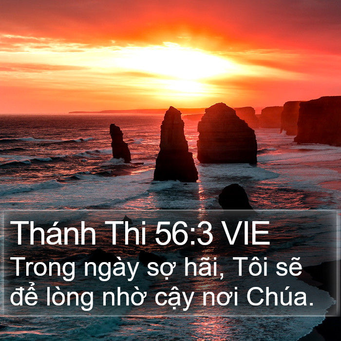 Thánh Thi 56:3 VIE Bible Study