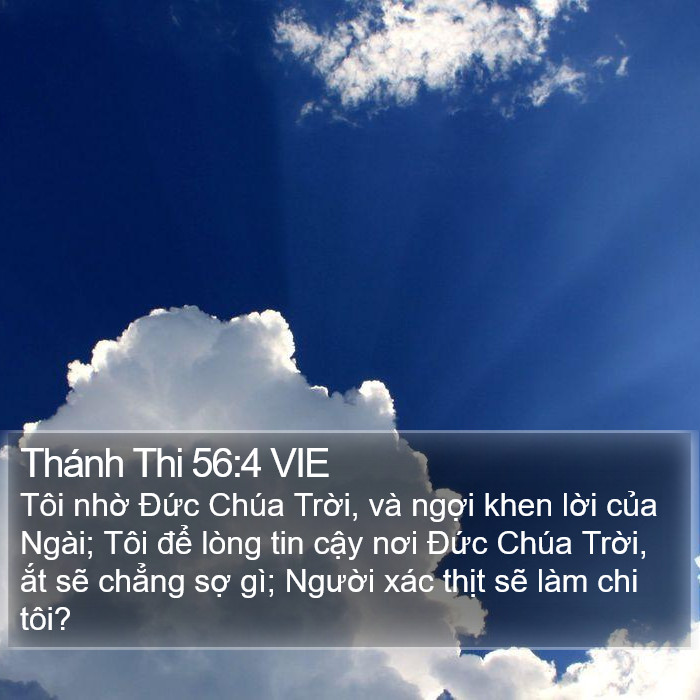 Thánh Thi 56:4 VIE Bible Study