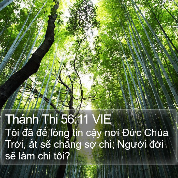 Thánh Thi 56:11 VIE Bible Study