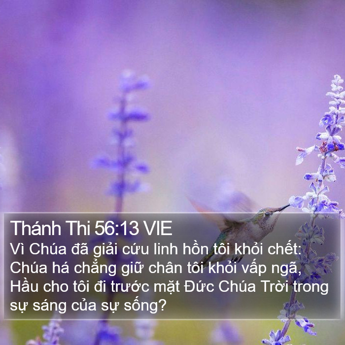 Thánh Thi 56:13 VIE Bible Study