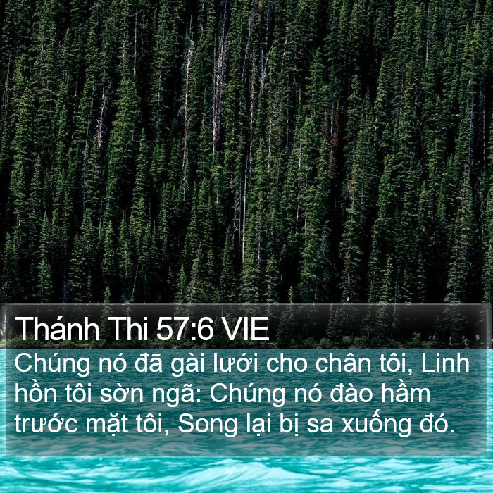 Thánh Thi 57:6 VIE Bible Study