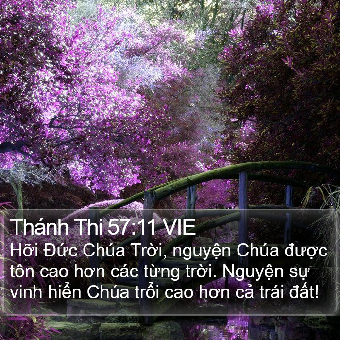 Thánh Thi 57:11 VIE Bible Study