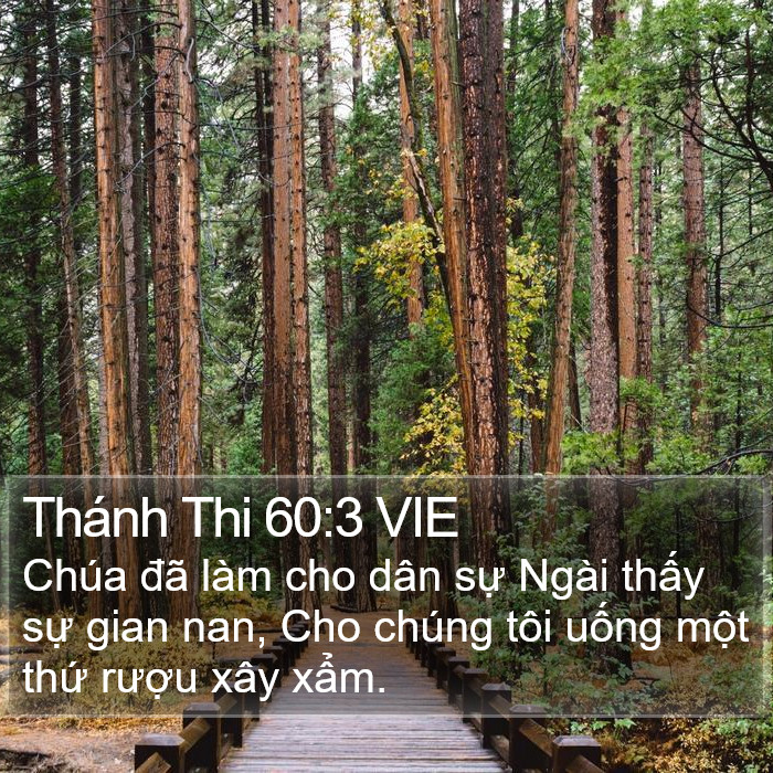 Thánh Thi 60:3 VIE Bible Study