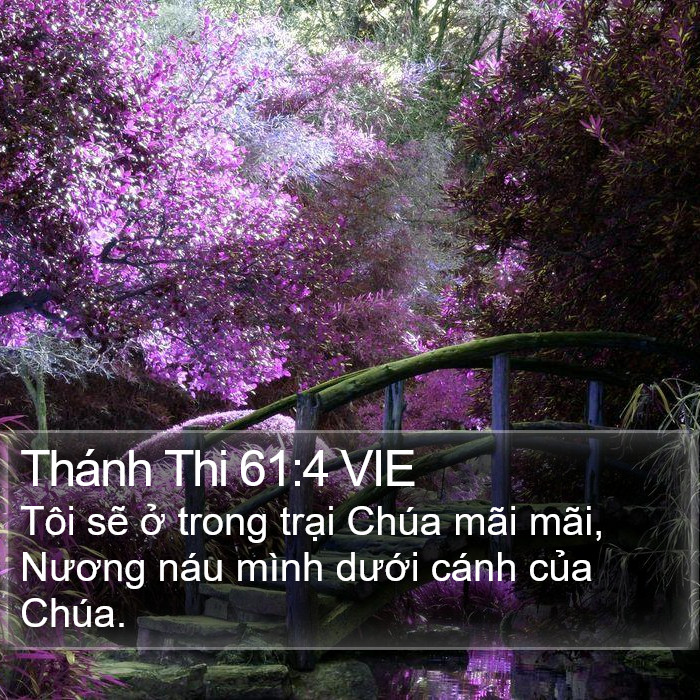 Thánh Thi 61:4 VIE Bible Study