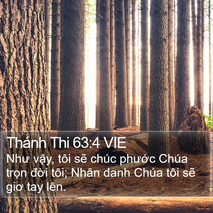 Thánh Thi 63:4 VIE Bible Study