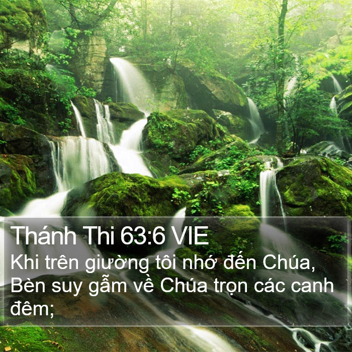 Thánh Thi 63:6 VIE Bible Study