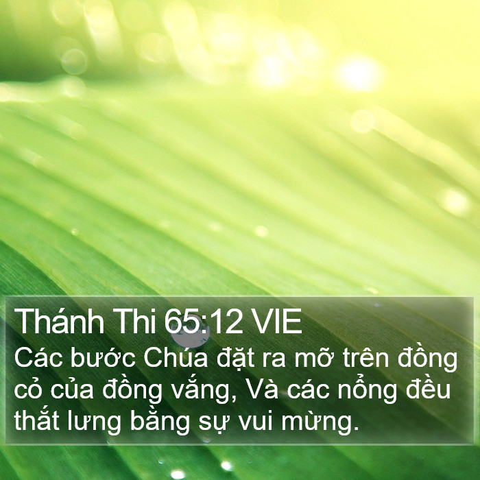 Thánh Thi 65:12 VIE Bible Study