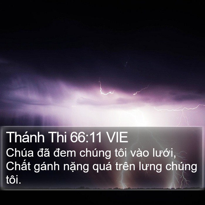 Thánh Thi 66:11 VIE Bible Study