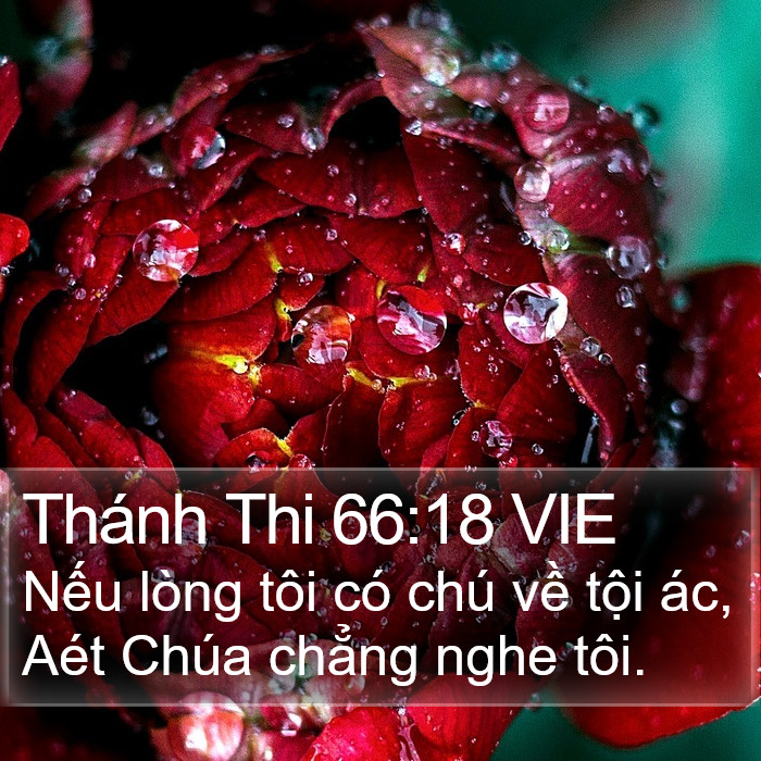 Thánh Thi 66:18 VIE Bible Study