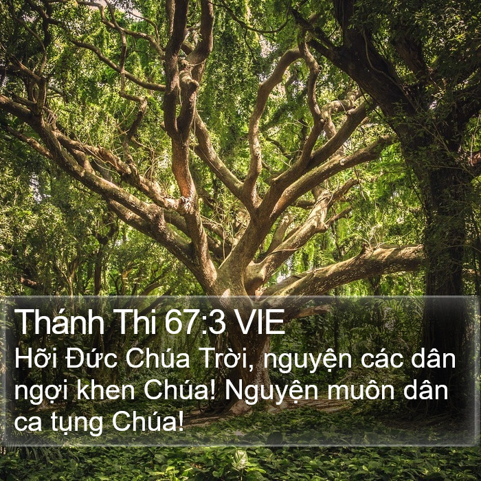 Thánh Thi 67:3 VIE Bible Study