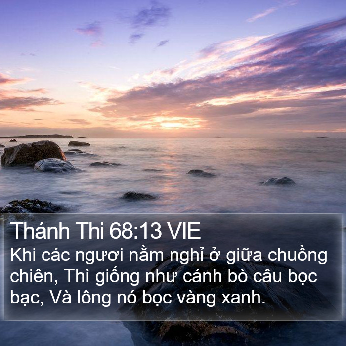 Thánh Thi 68:13 VIE Bible Study