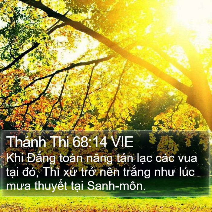 Thánh Thi 68:14 VIE Bible Study