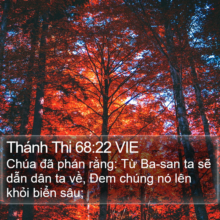 Thánh Thi 68:22 VIE Bible Study