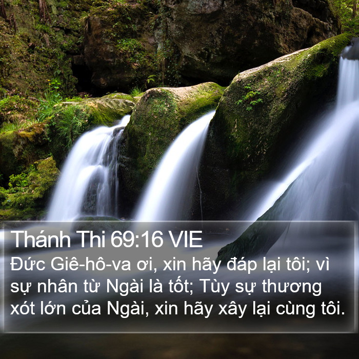 Thánh Thi 69:16 VIE Bible Study