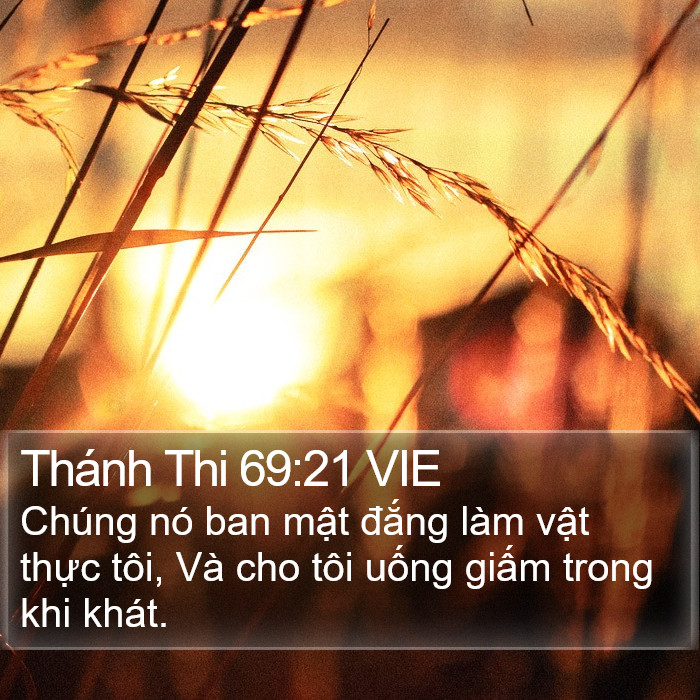 Thánh Thi 69:21 VIE Bible Study