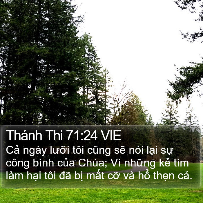 Thánh Thi 71:24 VIE Bible Study