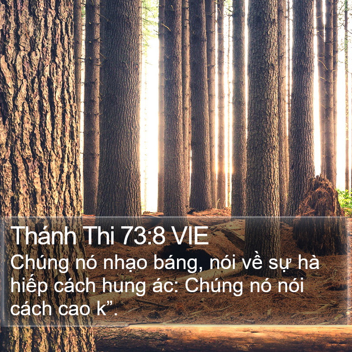 Thánh Thi 73:8 VIE Bible Study