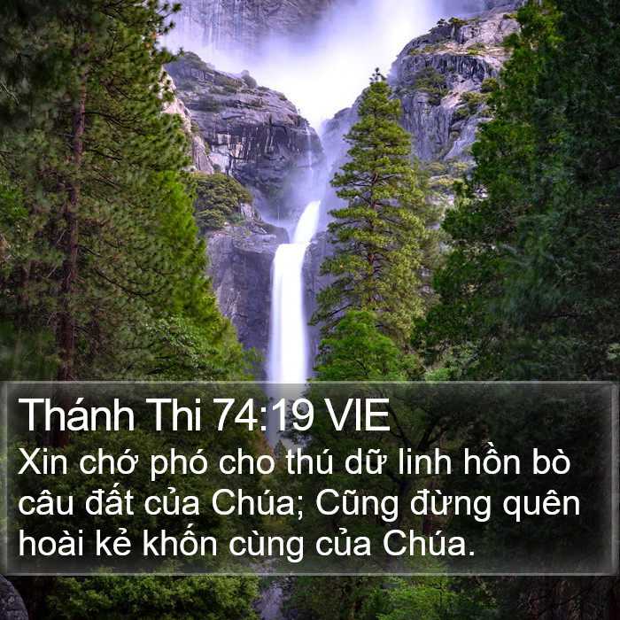 Thánh Thi 74:19 VIE Bible Study